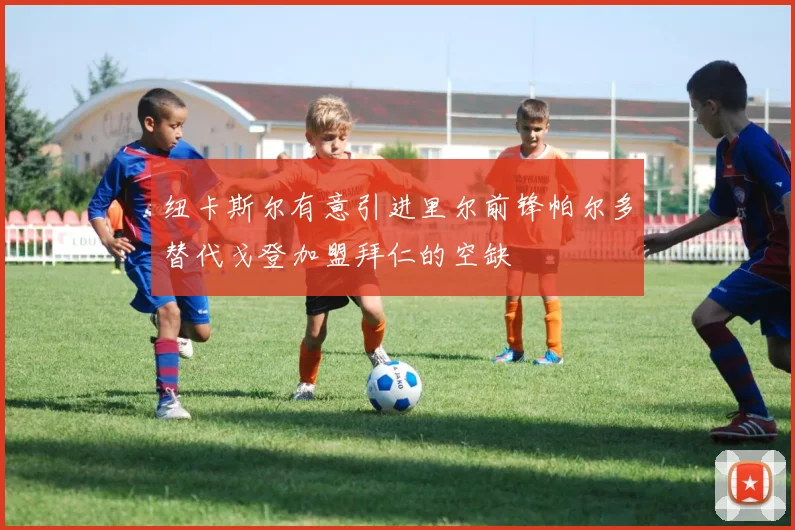 纽卡斯尔有意引进里尔前锋帕尔多替代戈登加盟拜仁的空缺